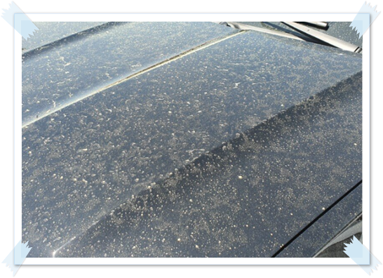 로봇-청소기-구입