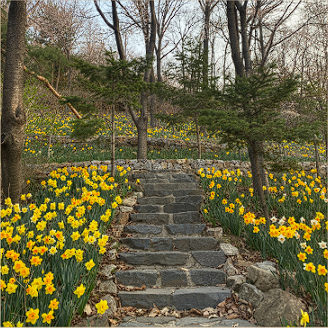 화담숲 예약 모노레일