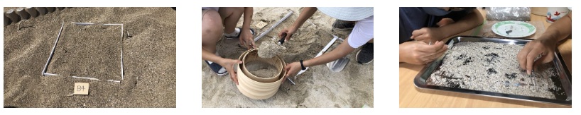 3. 모래를 걸러 플라스틱을 찾다: 표준화된 시료 채취 및 육안 분석 절차