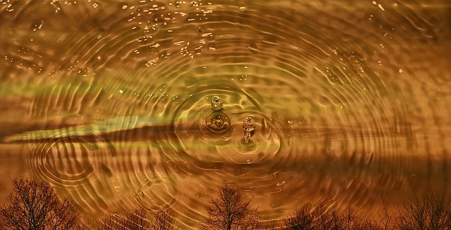 쿠쿠정수기-필터-교체-방법-및-구입