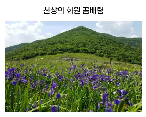 숲길체험-명품숲