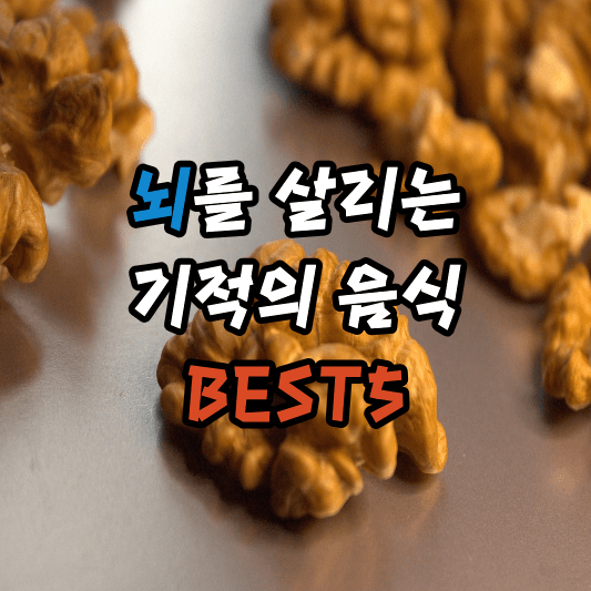 뇌에 좋은 음식