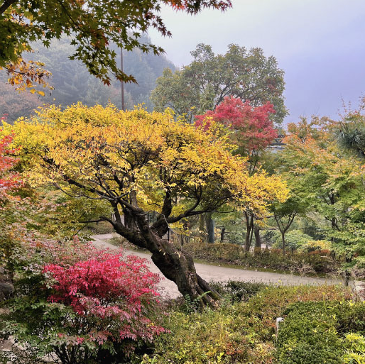 화담숲6