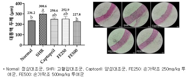 고혈압 예방에 좋은 음식 - 손가락조 핑거1호 효능, 효과