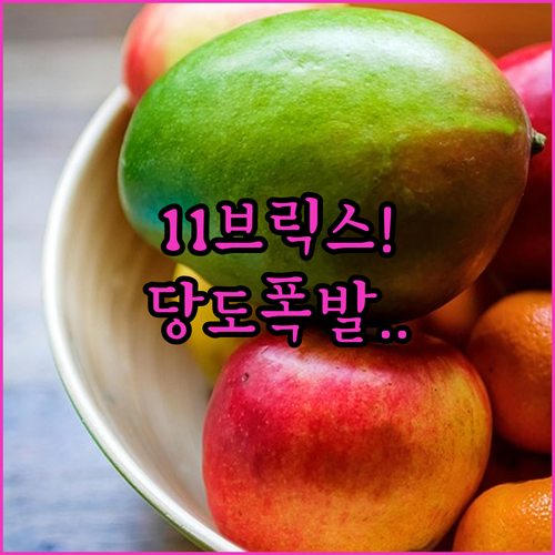 올레길감귤 11브릭스 이상 당도선별 ..