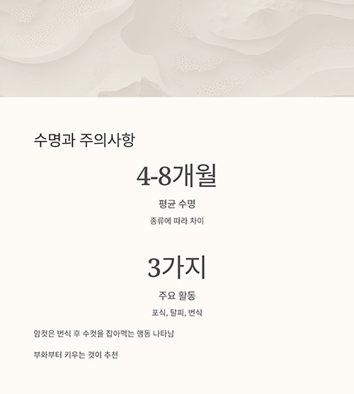 사마귀의 수명과 주의사항