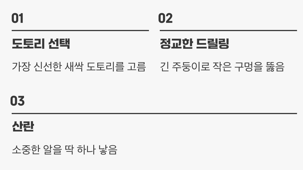 숲속의 작은 외과의사