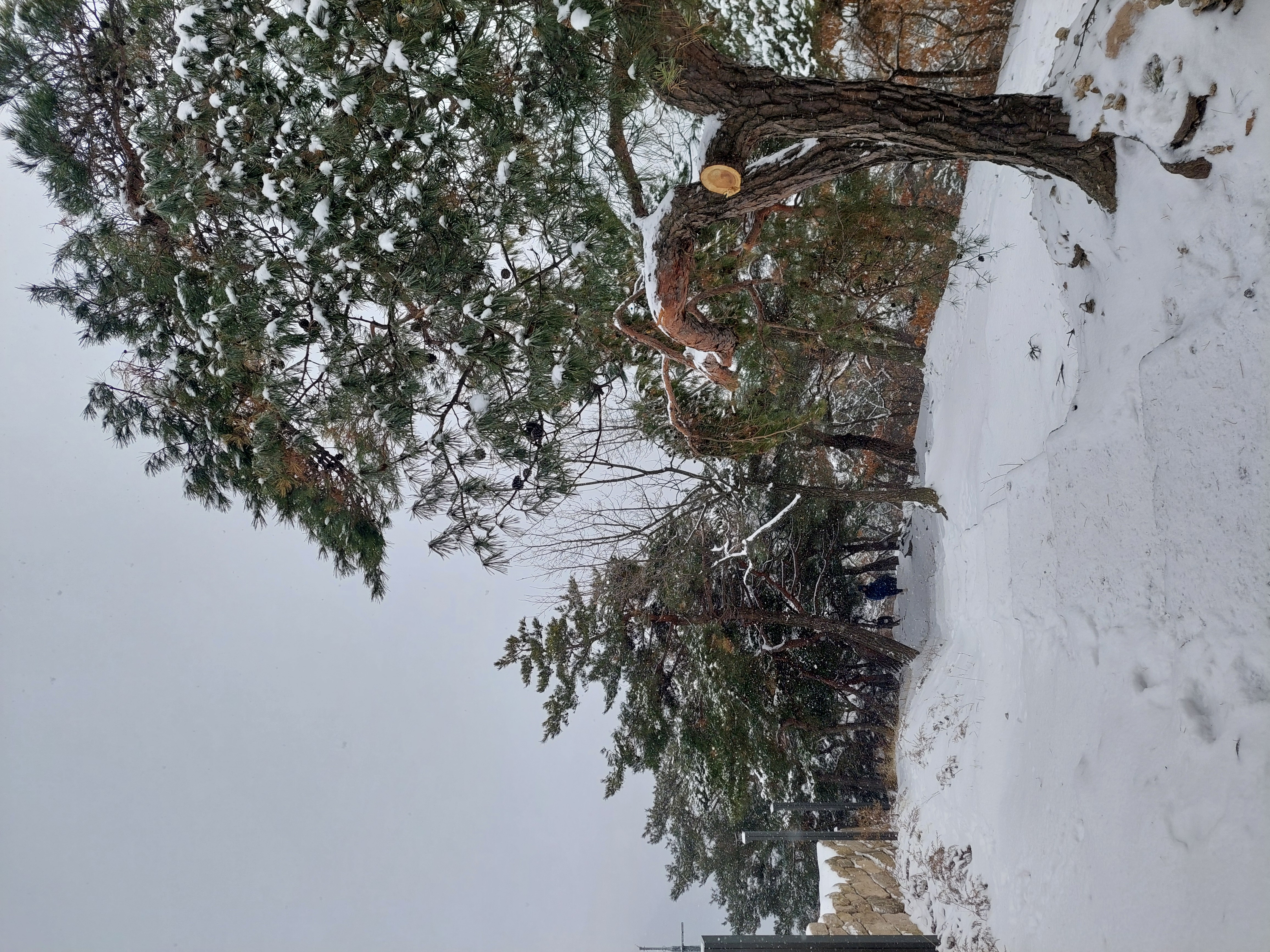 인왕산