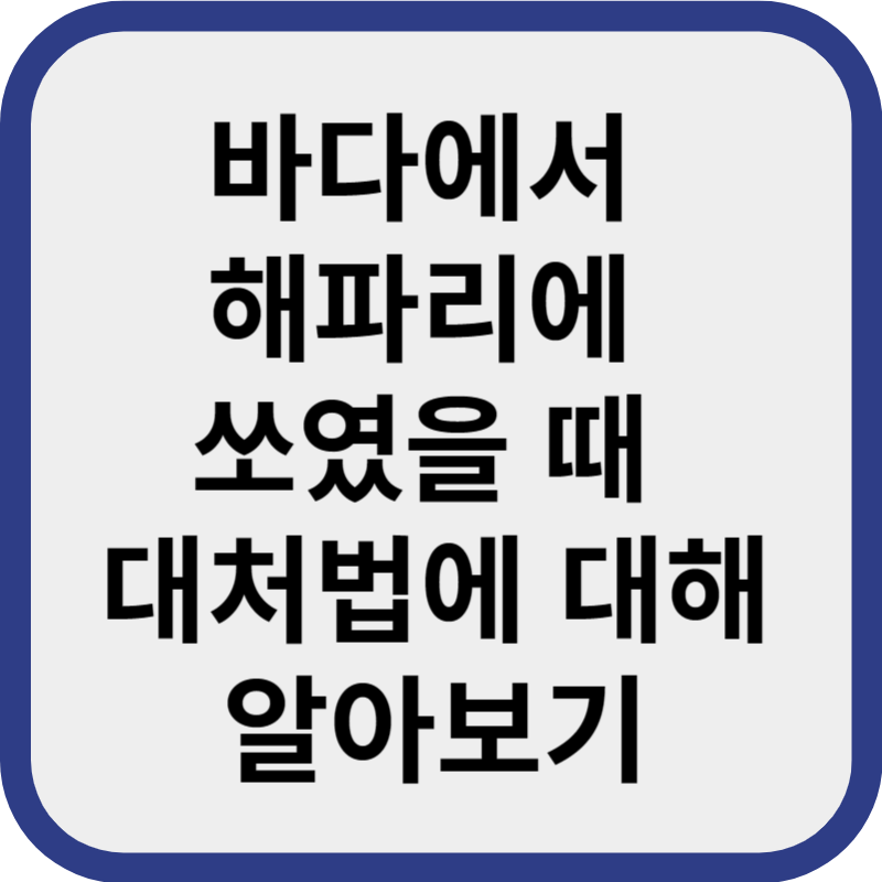 해파리 쏘였을 때 대처