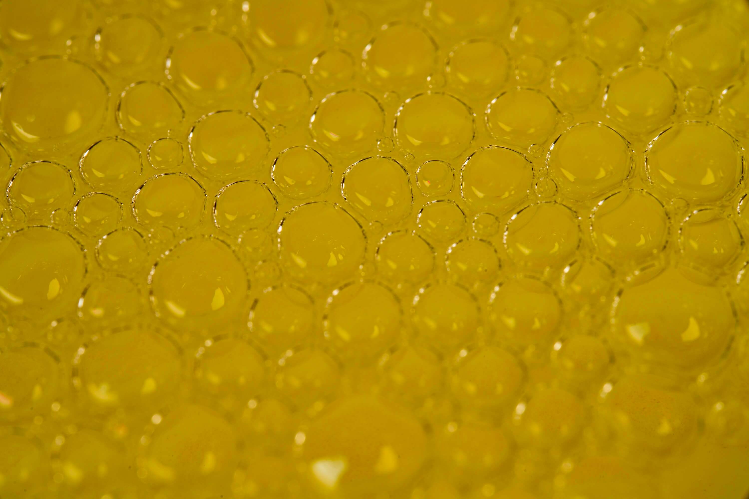 소변에 거품이 나는 이유