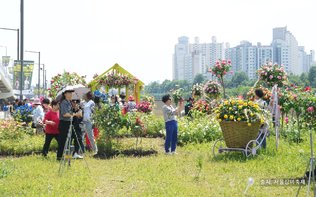 중랑 장미축제 안내