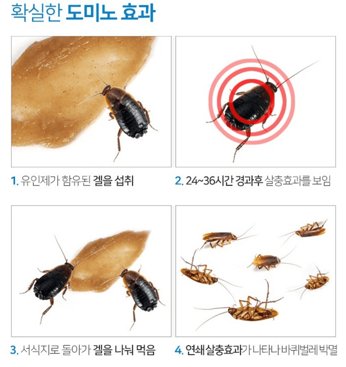 바퀴벌레 약(퇴치제) 추천 순위 TOP 5 - 네이버&amp;#44; 쿠팡&amp;#44; G마켓 판매량 비교