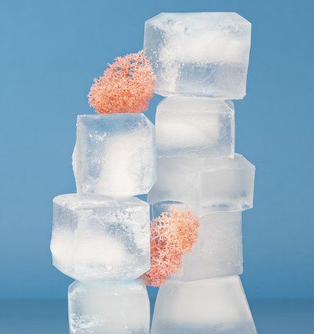 제빙기-얼음-사진