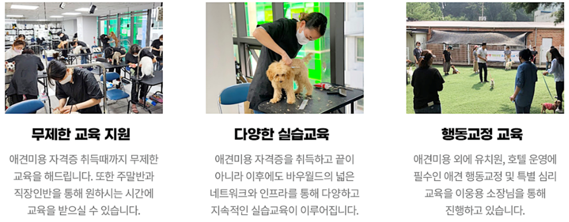 이바우펫대구