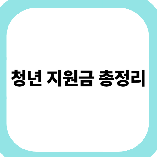 청년-지원금-총정리