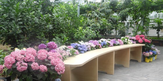 2025 함평 나비 축제 일정부터 주차·입장료까지! 꿀팁 총정리