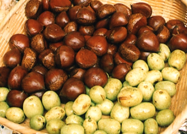 한국의 떡 종류 두텁떡-밤&amp;#44; 대추