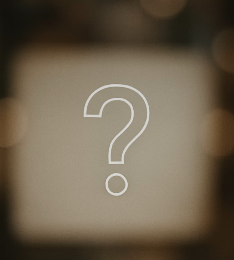 방역기, 벌레 없는 여름을 위한 최고의 선택