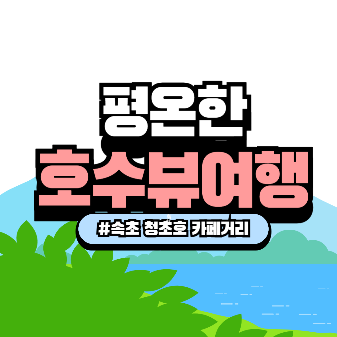 🟢 속초 청초호 카페거리 감성 산책 – 바다보다 평온한 호수뷰 여행 🌿☕