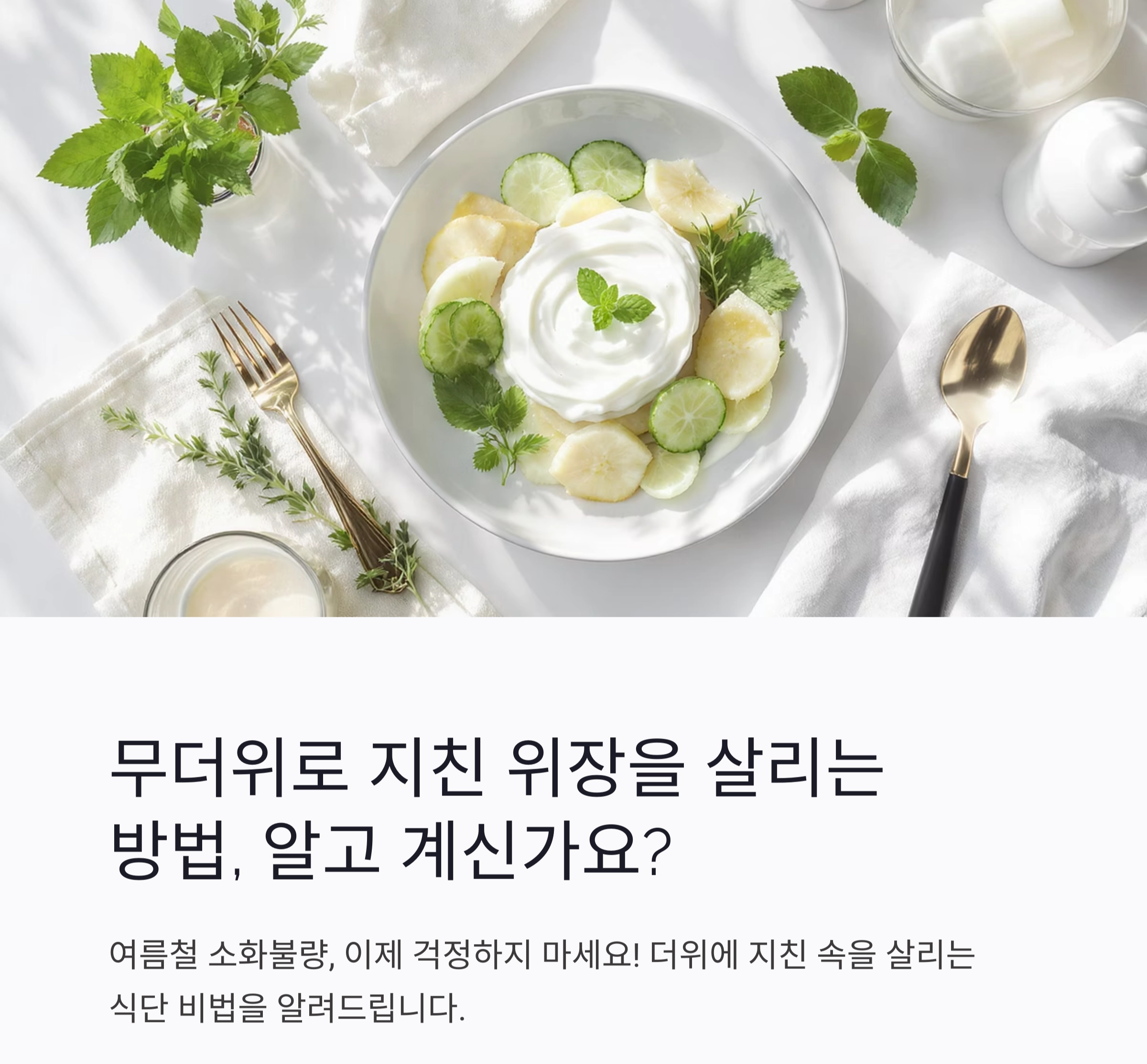 더위에 지친 속을 살리는 여름철 소화불량 개선 식단