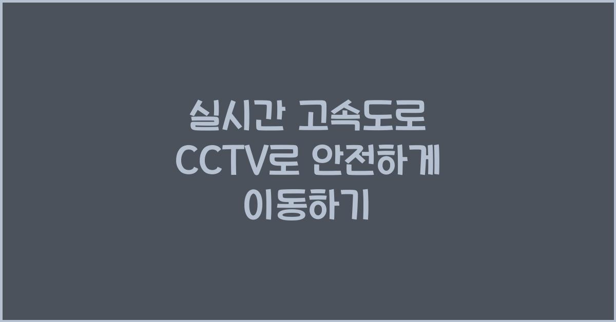 실시간 고속도로 cctv