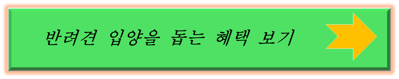 반려견 입양 혜택보러가기