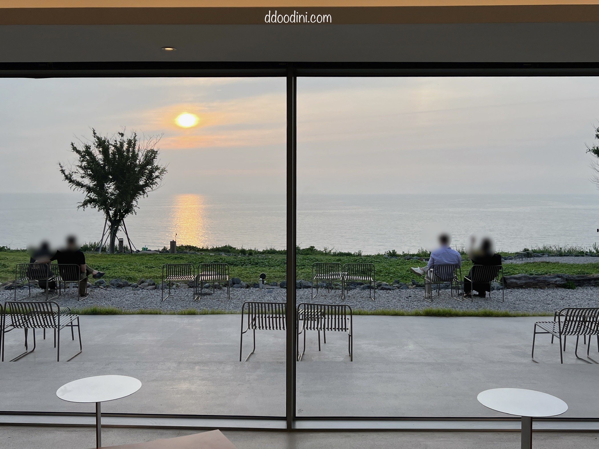 백수해안도로 보리