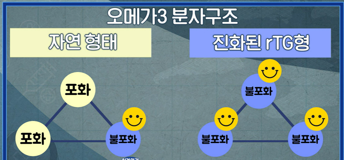 오메가3