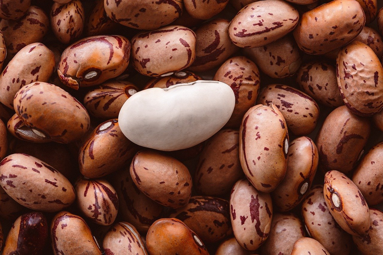 밤콩의 효능, 부작용, 먹는 법 알아보기