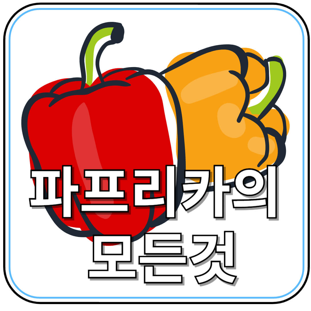면역력 강화부터 피부 건강까지! 파프리카가 몸에 좋은 이유