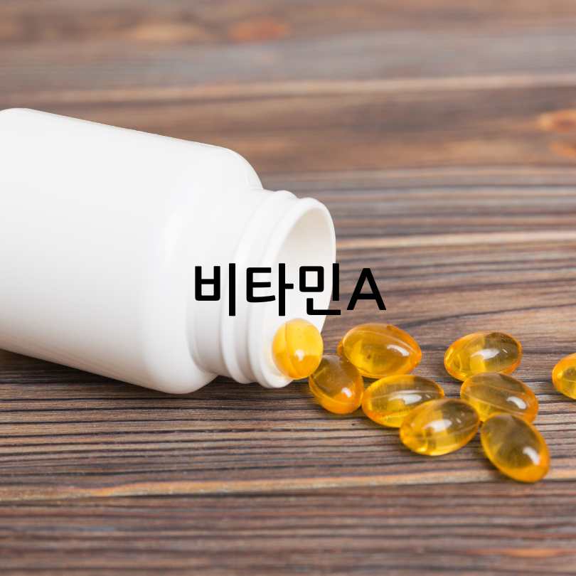 노화 방지에 좋은 영양제 추천