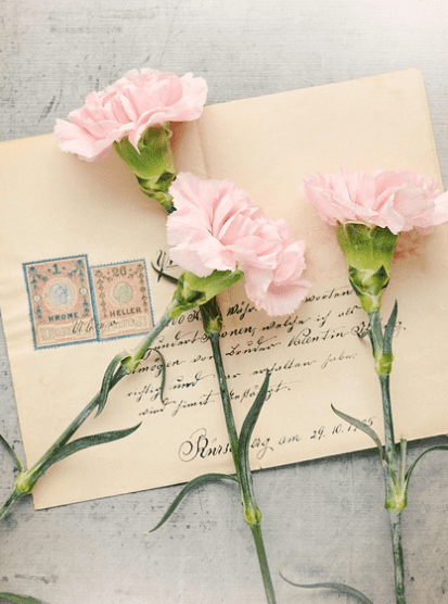 스승의 날 선물