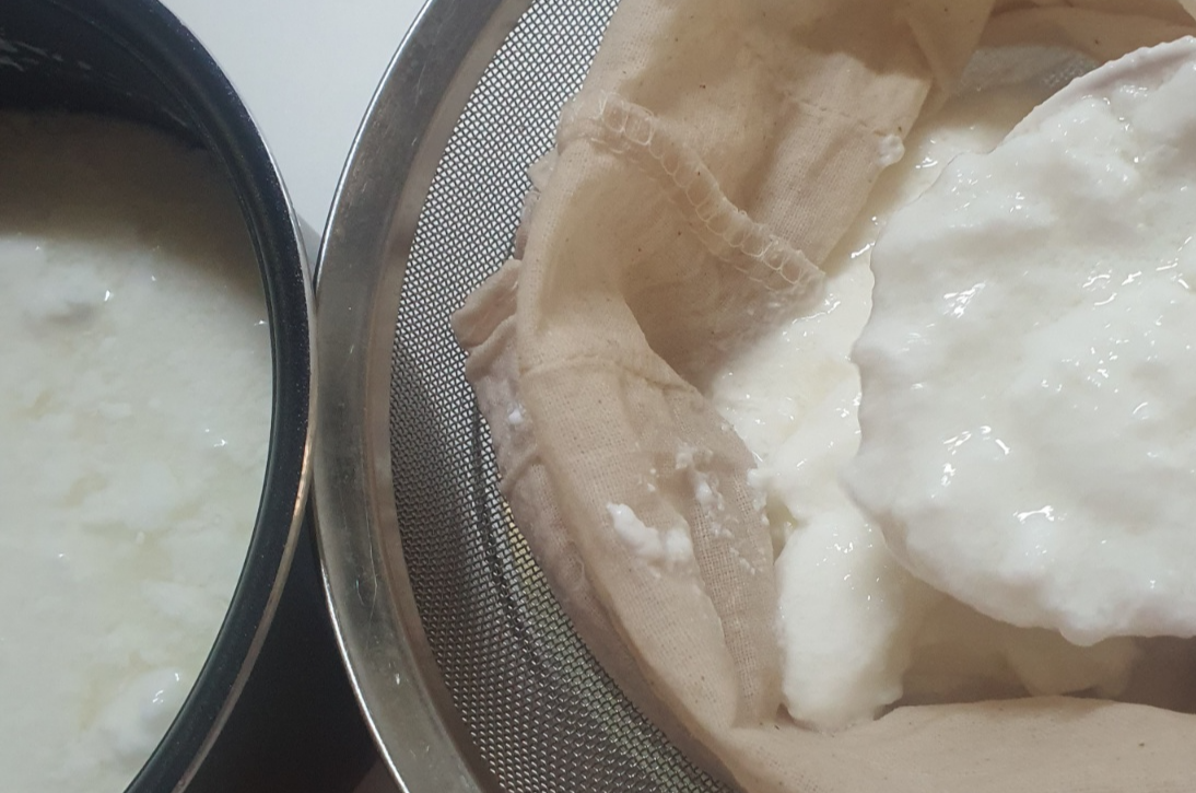 우유가 몽글몽글한 상태로 변화