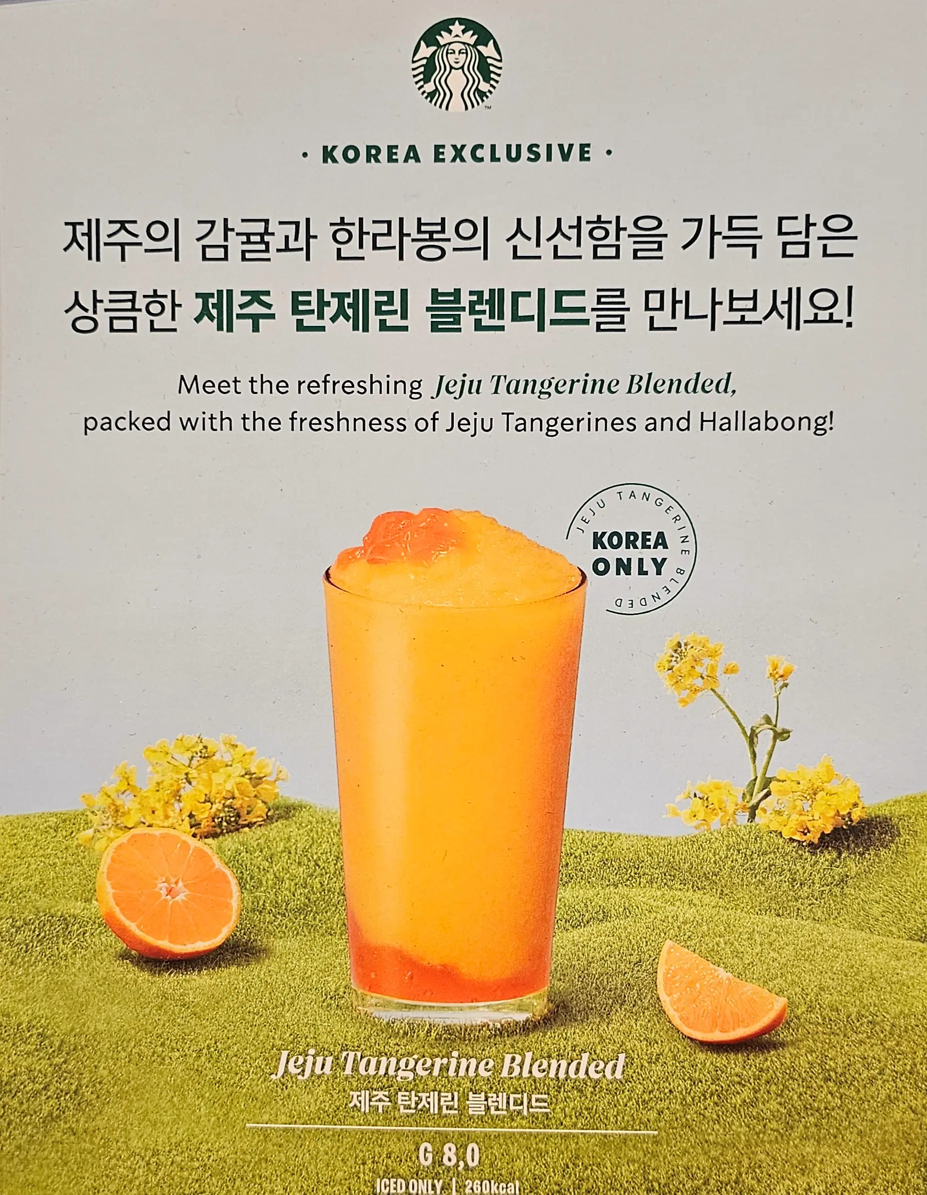 스타벅스 제주 탄제린 블랜디드