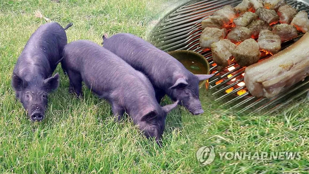 제주 흑돼지 거리 추천 고기집과 대기시간 정보_7