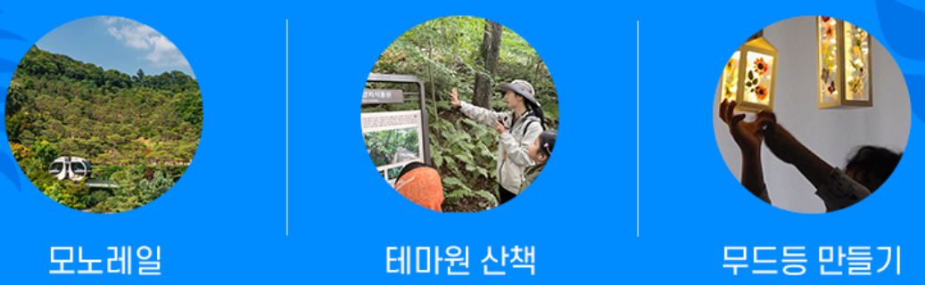 화담숲 프로그램