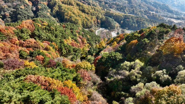 지리산 카페 오도재