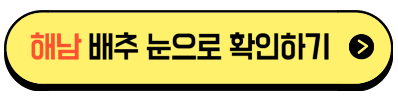 절임배추