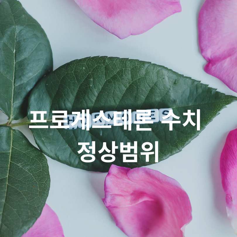 여성호르몬 수치 검사 정상범위와 결과 해석
