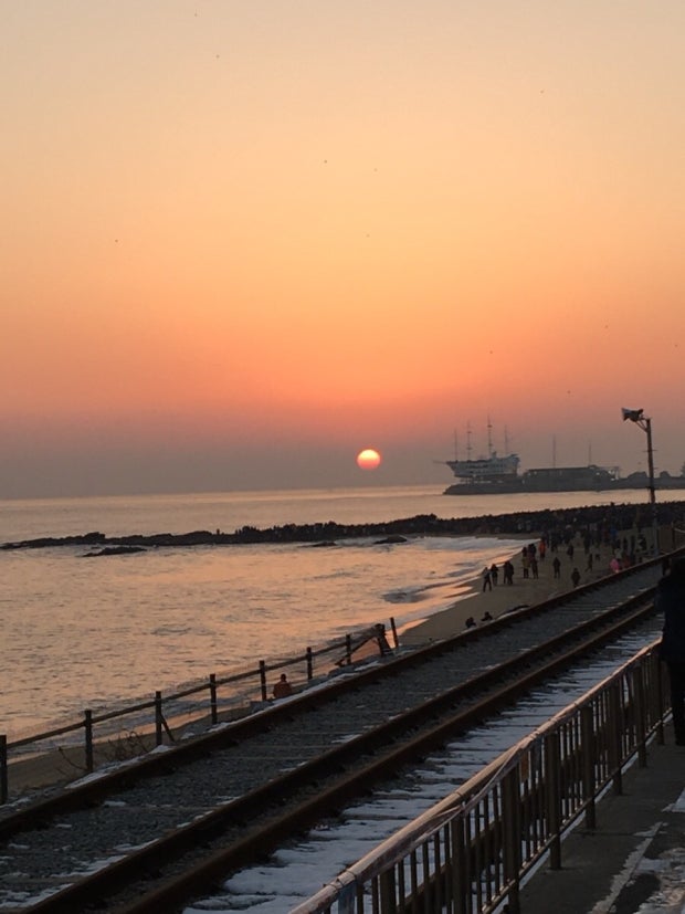 2026년 1월 KTX 일출 기차 예매