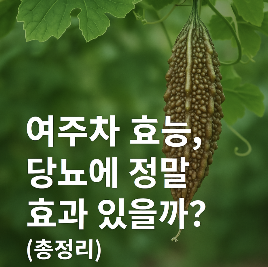 여주차 효능, 당뇨에 정말 효과 있을까? (총정리)