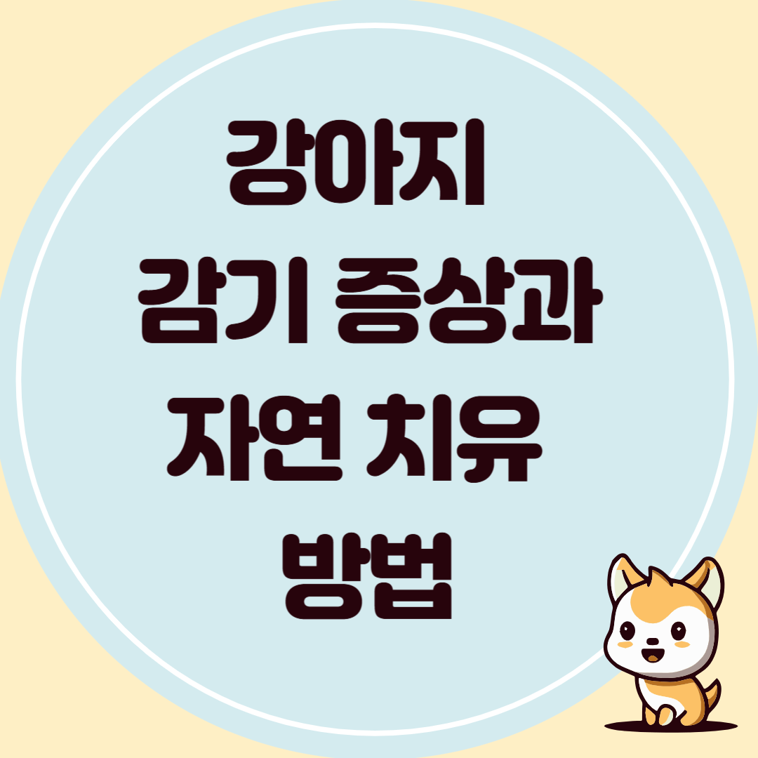 반려견 감기 증상과 치유 방법