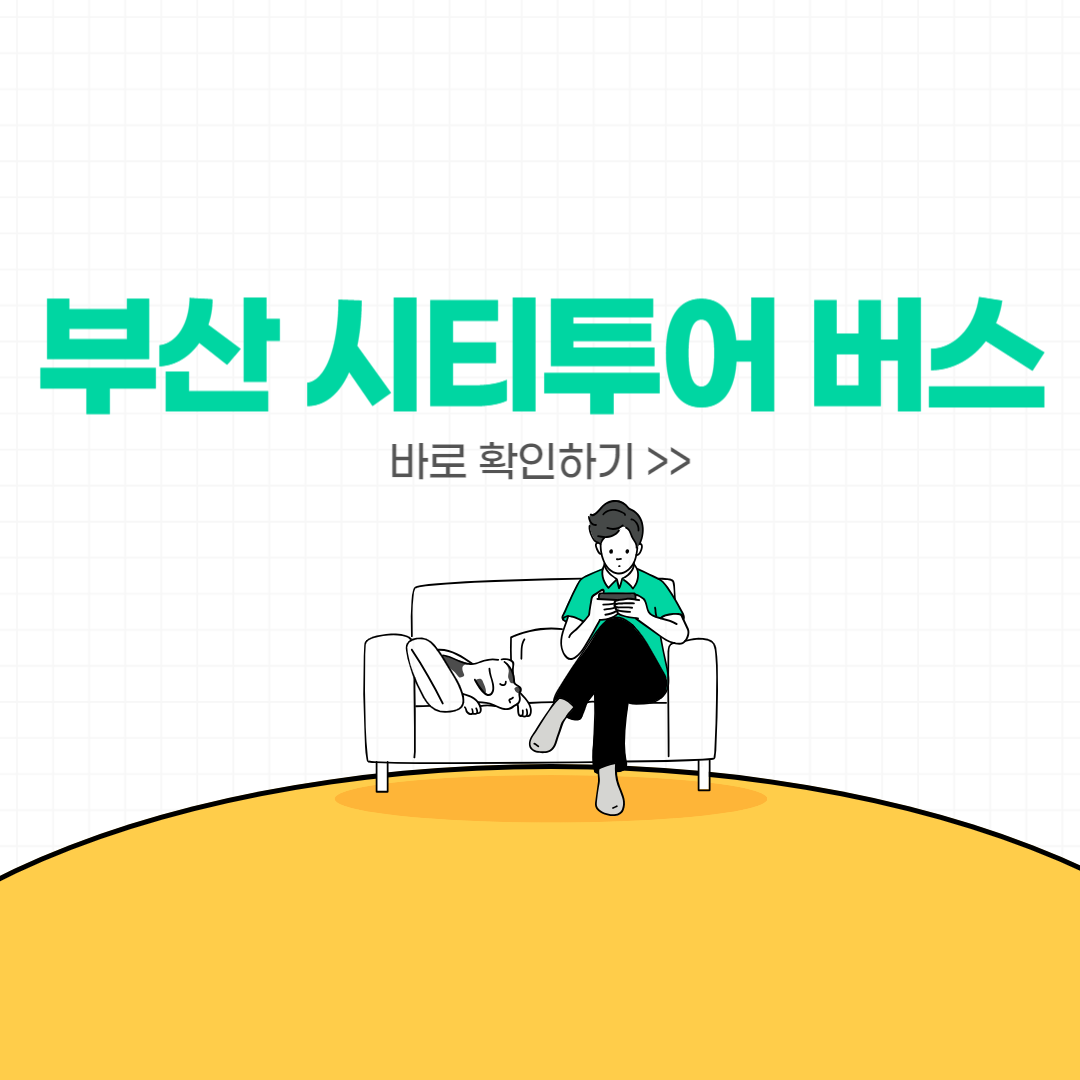 2024 부산 시티투어 버스 이용 방법, 코스, 시간표