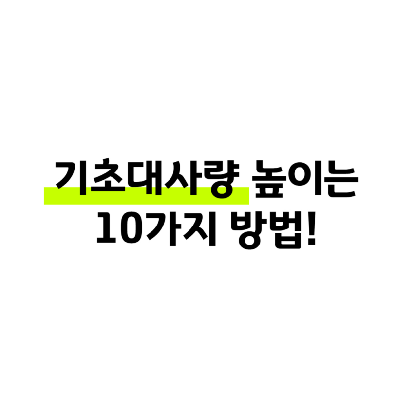 기초대사량 높이는 10가지 방법! 썸네일