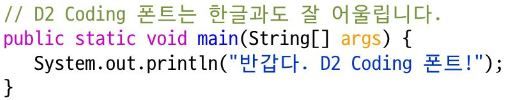 d2 coding 글꼴