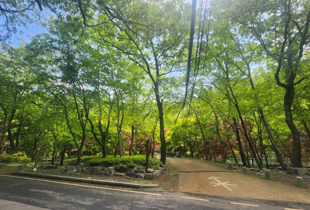 보령 가볼만한곳 베스트10 성주산자연휴양림