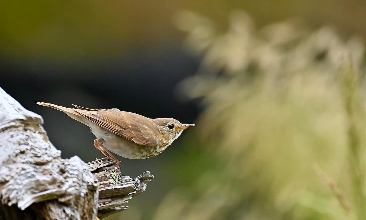 사춘기 아이가 느끼는 외로움, 부모가 놓치기 쉬운 진짜 이유