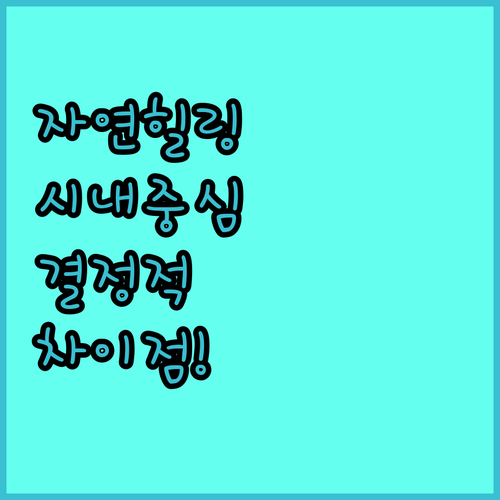 자연 힐링 혹은 시내 접근성 코타키나..