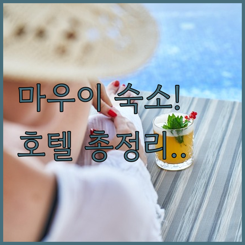 하와이 마우이 숙소 추천 및 지역별 ..