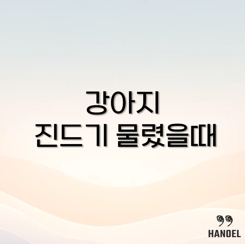 강아지 진드기 물렸을 때